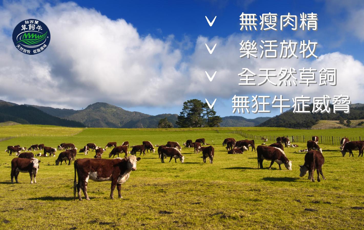 紐西蘭草飼牛，不餵瘦肉精